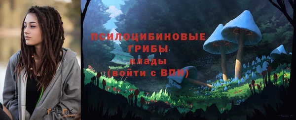 кокаин перу Михайлов