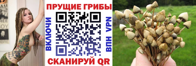 Псилоцибиновые грибы MAGIC MUSHROOMS  Купить закладки  Сочи 